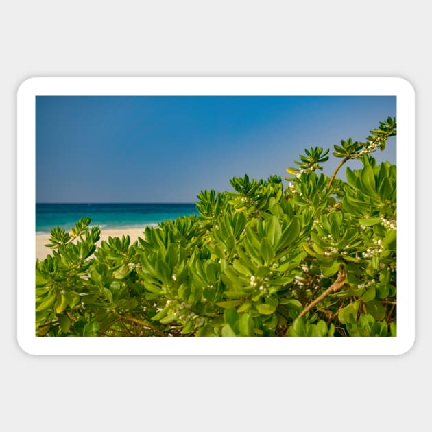 Beautiful tropical beach scenery Sticker by Ryansnow876